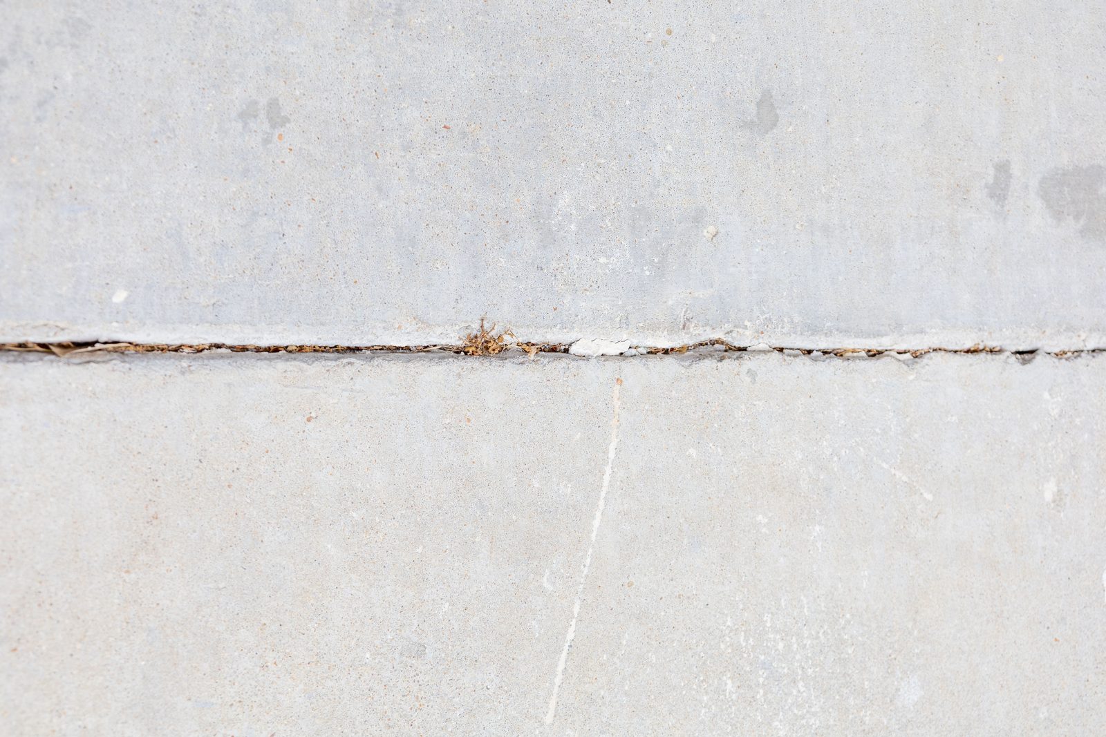 Close-up of a concrete sidewalk joint that has opened up, with weeds growing through